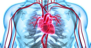 Hypertension